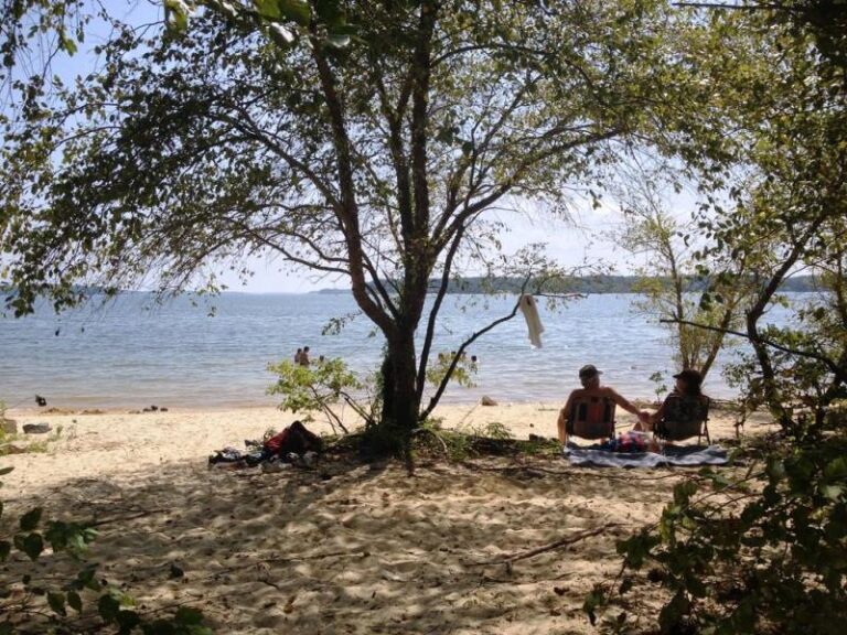 kerrlakebeach01med 279031d0 5056 a36a 076c528f79689e26 768x576