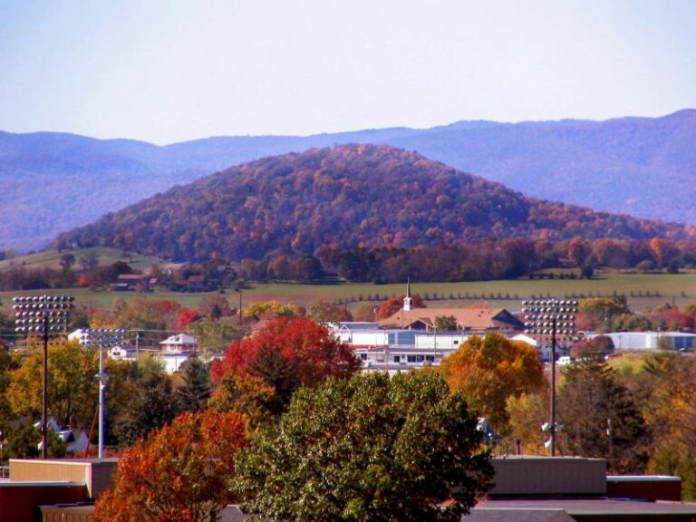 molehill 1dbcc045 5056 a36a 0729df9f11412327 768x576