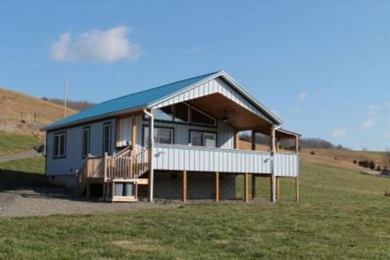 morningmist 232a57d4 5056 a36a 07d3ea779a05c259 768x512