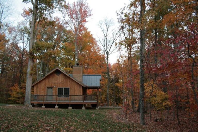 oc cabin 1fc4d83f 5056 a36a 07cb1540143bf436 768x513