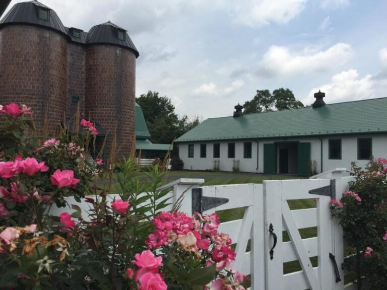 old dairy 1fe93e03 5056 a36a 07bd731310879bf9 768x576