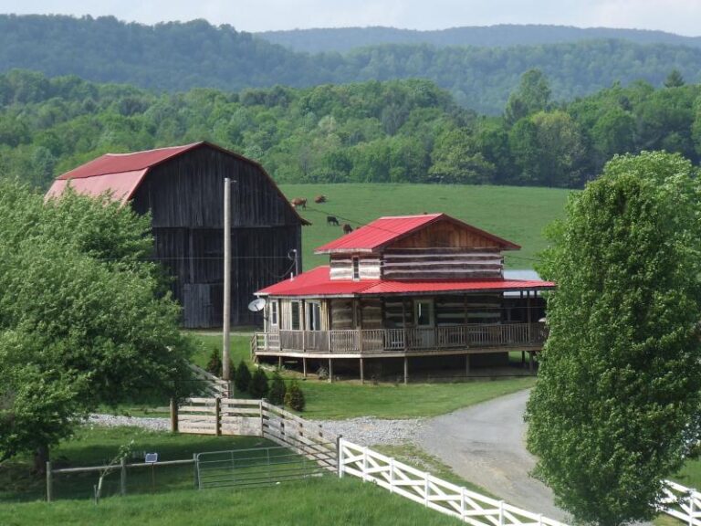 photo 1 276ba618 5056 a36a 073ea9d88e6b0358 768x576