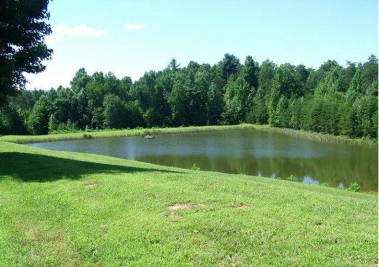 rec park lake 1bb7f60c 5056 a36a 079d659f115900e5 768x540