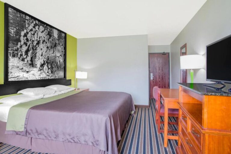 super83 1 2341d01d 5056 a36a 07560d29d03884ff 768x512