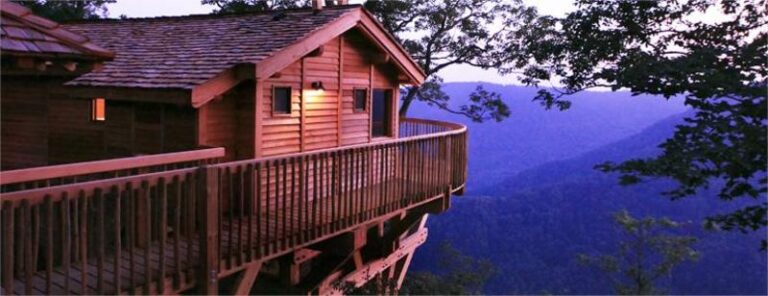 tree houses 2534cbf7 5056 a36a 0751325d1233a969 768x296