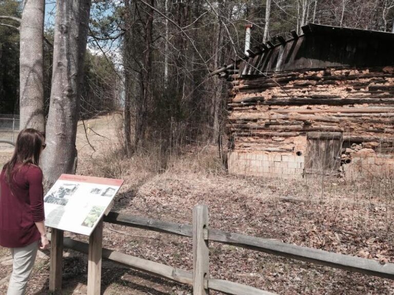 unnamed 235d5745 5056 a36a 072814caba43df07 768x576