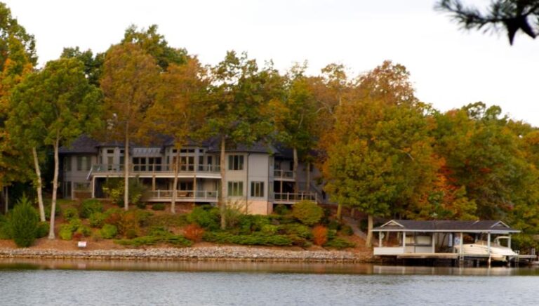 woodland2 276dafbd 5056 a36a 072d87c0964e74df 768x436