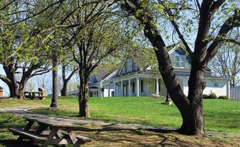 wythevillevisitorcenter2014 3 2337ae55 5056 a36a 07f7a4ba76f701b7 768x470