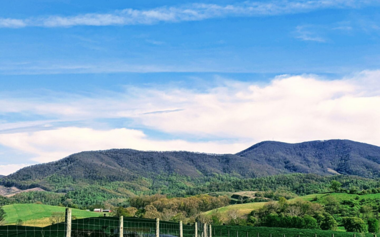 grayson county fiddlers convention 768x480