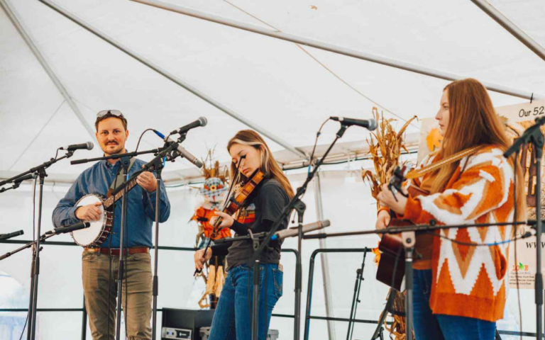 home craft days 768x480