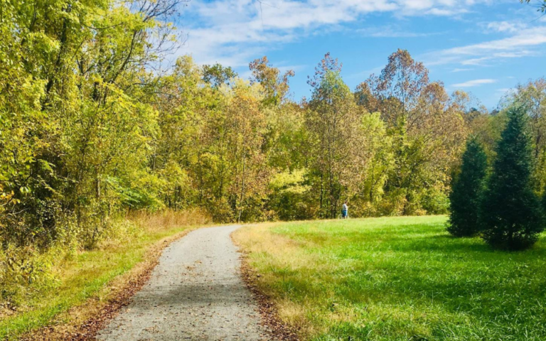 dora trail 768x480